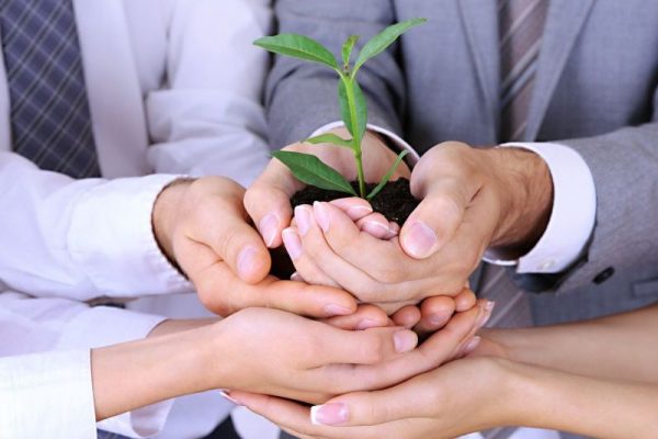 seguro ambiental seguro ambiental